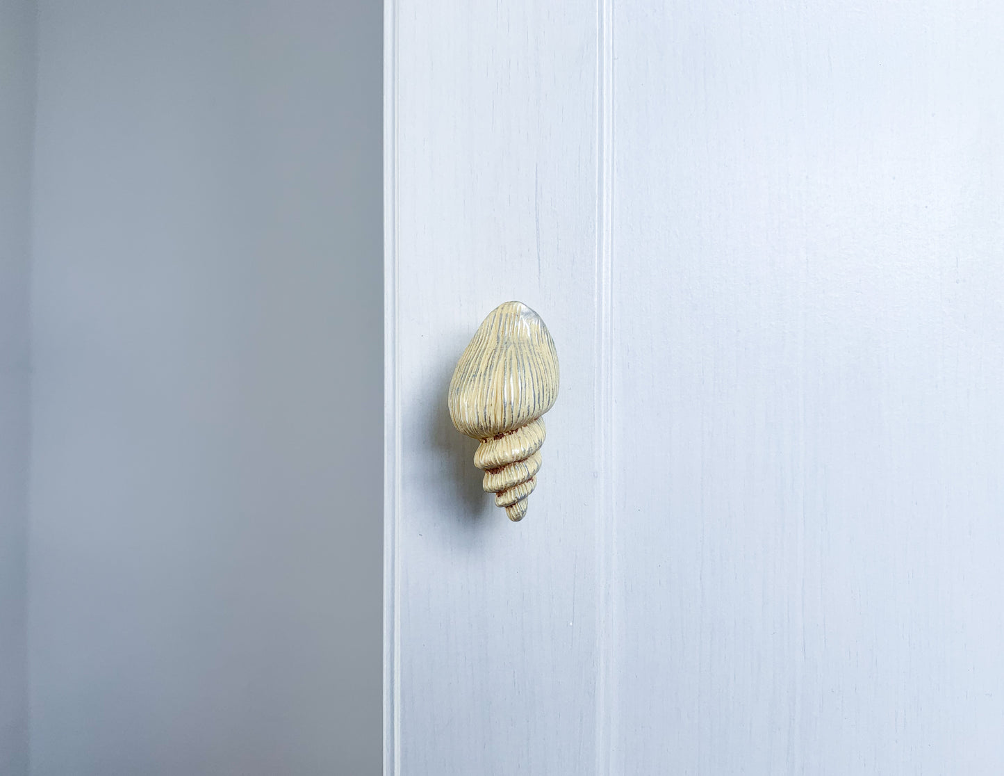 Sea Shell Door / Drawer Knob