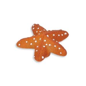 starfish door knob